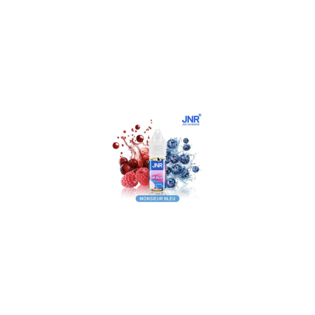 E-liquide JNR 10ml — Mr Blue | Sel de nicotine