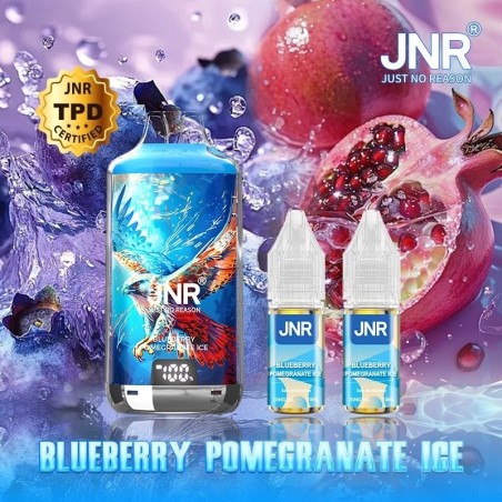 Puff JNR 28K — Blueberry Pomegranate Ice | 28 000 bouffées