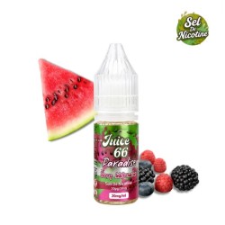E-liquide Paradise 10ml – Berry Watermelon | Sel de nicotine