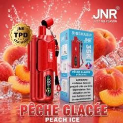 Puff JNR Shishasip 35K — Pêche Glacée | 35 000 bouffées