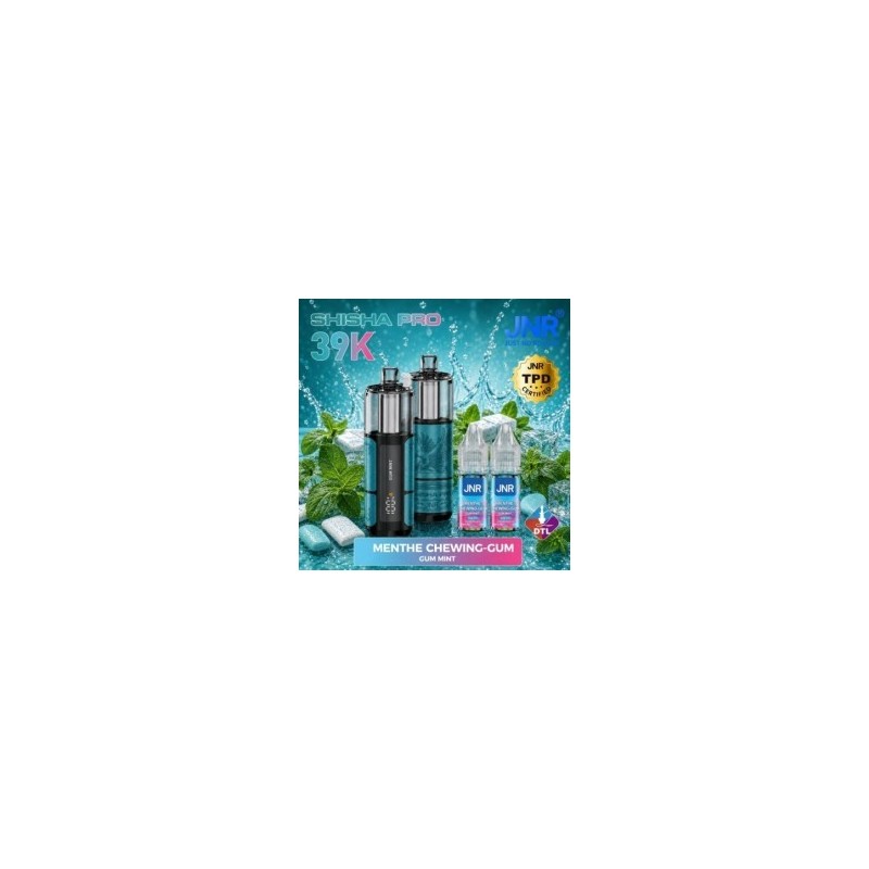 Puff Shisha Pro 39K rechargeable — 39 000 bouffées | Puff66